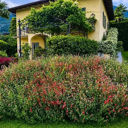 Villa Orea - With Garden & Access